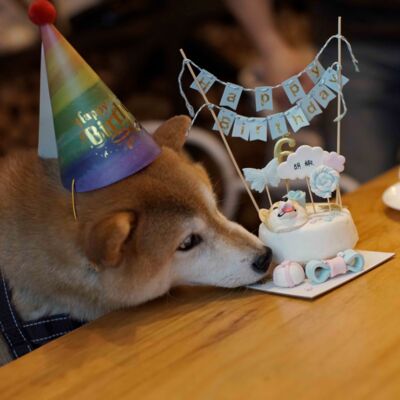 83. 一家小店，从引领潮流到被人遗忘