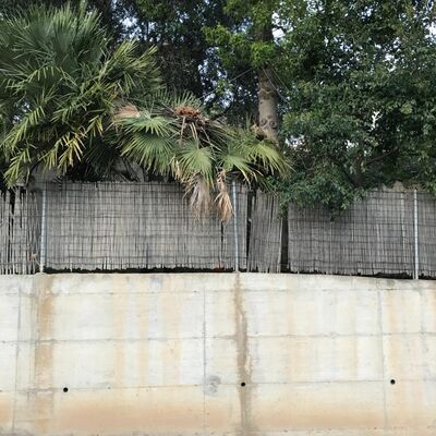 Twee Gedichten - Eelco Couvreur