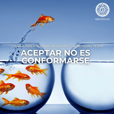 ACEPTAR NO ES CONFORMARSE
