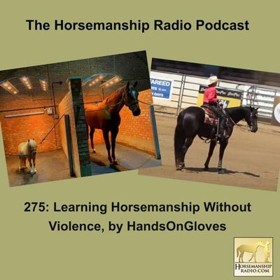275: Learning Horsemanship Without Violence, by HandsOnGloves