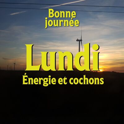 S01E01 - Lundi : Énergie et cochons
