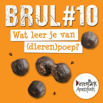 Wat leer je van (dieren)poep? | BRUL #10