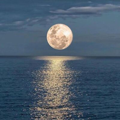 DR.SPY.DER | KRYSHA MIRA LIVE | FULLMOON PHANGAN 2019