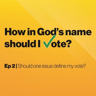 Should One Issue Define My Vote? – Episode 2