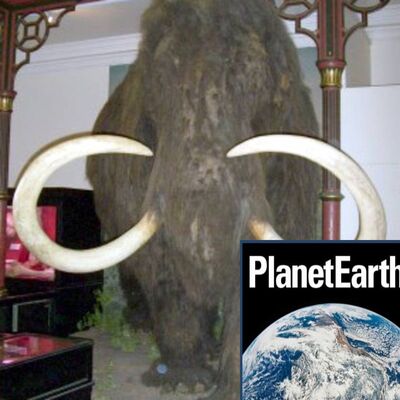 Neanderthal mammoth hunters in Jersey - Planet Earth Podcast - 11.11.02