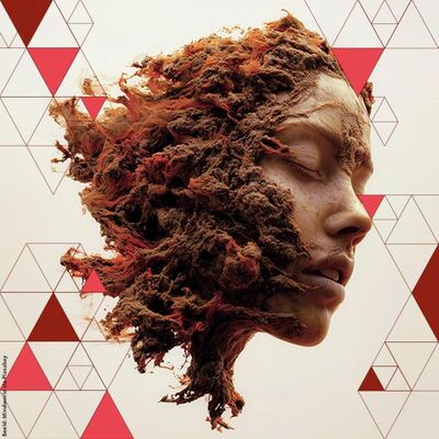 Wat is trauma? | Neurowetenschapper Sabrina van Heukelum en psychiater Derek Strijbos