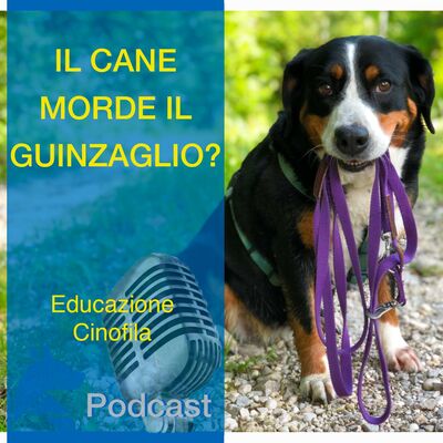 Il Cane Morde il GUINZAGLIO?