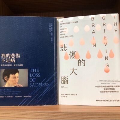 書局_04_悲傷的大腦有沒有病