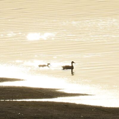  汉水日记读评论之二 
