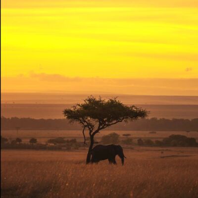 Vol.026 外面纷纷扰扰，我们该以怎样的状态走向远方？