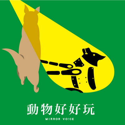 神奇仿生學：向動物借點子，偷學科技新妙招！【焦傳金｜動物好好玩S4EP0】