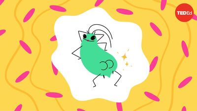 The bug that poops candy | George Zaidan