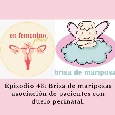Episodio 43:Brisa de mariposas, asociación de pacientes con duelo perinatal.