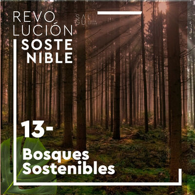 #13 Elena Álvarez - Bosques sostenibles, incendios forestales y cambio climático