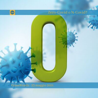 Zero-Covid o N-Covid?