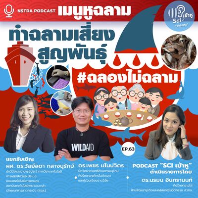 Sci เข้าหู EP.63 - เมนูหูฉลาม ทำฉลามเสี่ยงสูญพันธุ์ #ฉลองไม่ฉลาม