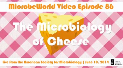MWV Episode 86 - The Microbiology of Cheese
