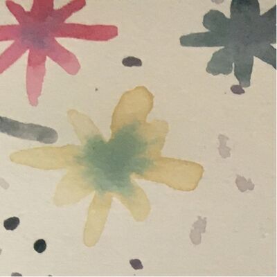 Buurtkruid 2. Sint Janskruid 🌼 ‘super fantastische prachtige plant om mee te werken’