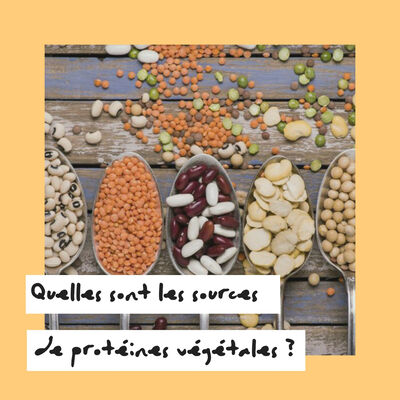 (017) Quelles sont les sources de protéines végétales ? 