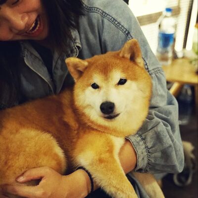 Threads 爆文的破圈實驗，秒殺報名最終會來幾人？