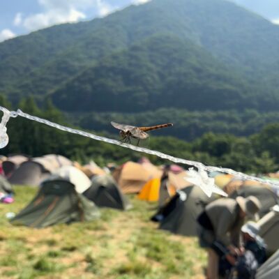 出道即巅峰，第一次露营就是在 FUJI ROCK