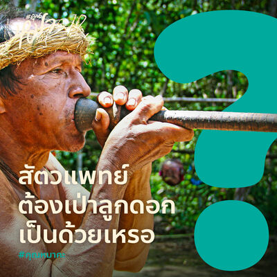 #คุณหมาคะ : สัตวแพทย์ต้องเป่าลูกดอกเป็นด้วยเหรอ