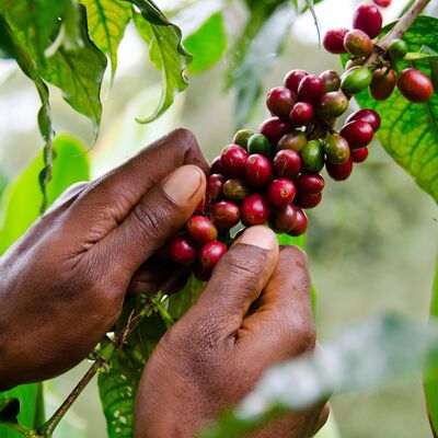 CLR-E164: Black Lives Matter