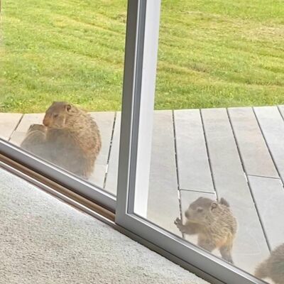 Tailer Trash Fly Fishing - There Will Be Blood