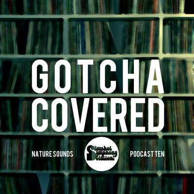 10: Sureshot Symphony Solution - Gotcha Covered