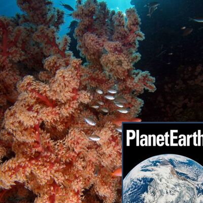 Cold water corals, meteorites, new greenhouse gases - Planet Earth Podcast - 12.05.23