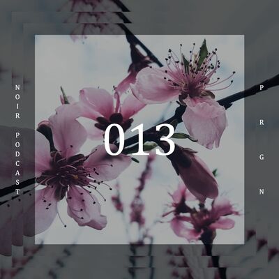 #NOIRPODCAST013 - PRGN