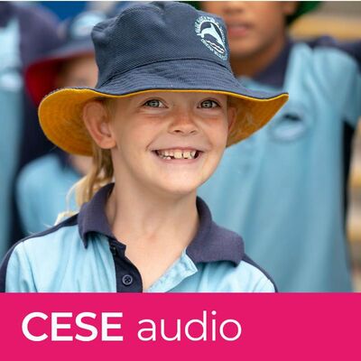 Blue Haven Public School case study