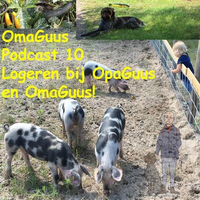 Podcast 10 logeren bij opa en oma guus