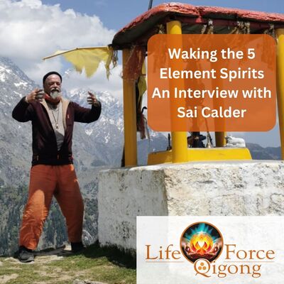 Waking the 5 Element Spirits an Interview with Sai Calder