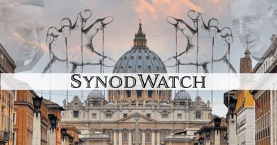 How to Use Synodality for Tradition