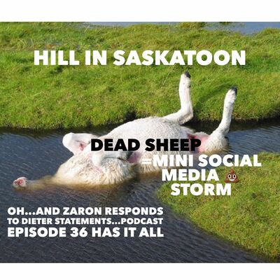 Episode 36-Canadian Bowl thoughts and mini social media shitstorm