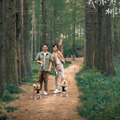 向往的最终季，怎么还有点赖着不走的意思？