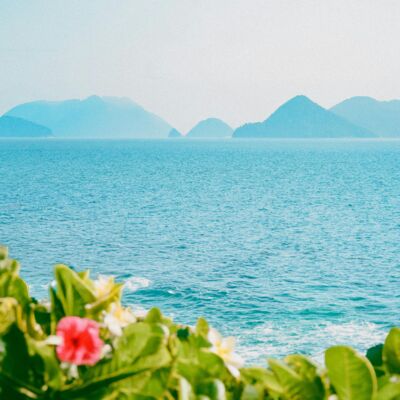 EP104丨左眼跳财右眼跳灾？应象占卜