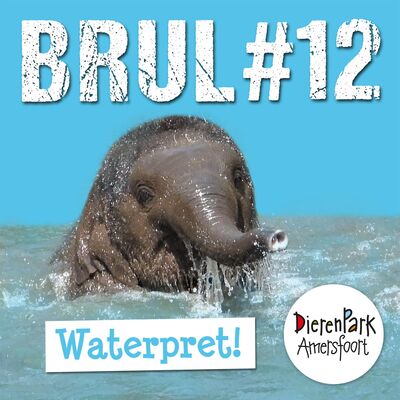 Waterpret! Zo belangrijk is water voor dieren, planten én jou | BRUL #12
