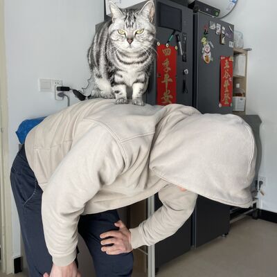  本格闲聊：赤安 CP 和其他 