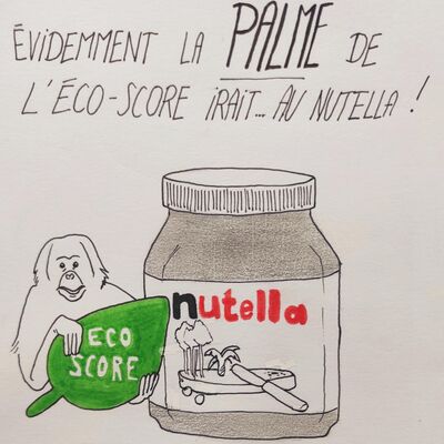 Point News + Interview : Eco-score, Oiseaux d’Angers + Marc Barré, un écologue (17/03/2021)