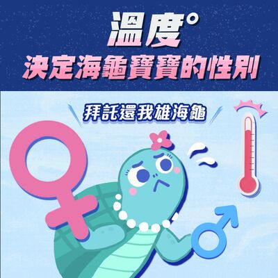S1.05│溫度決定海龜寶寶的性別？拜託還我雄海龜！