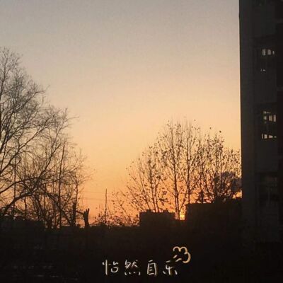 005｜考研不过梦一场！