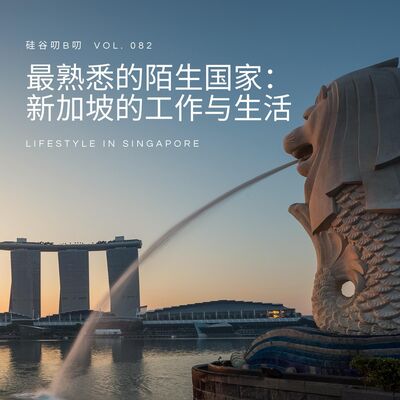 Vol. 082 最熟悉的陌生国家： 新加坡的工作与生活｜码农城市系列