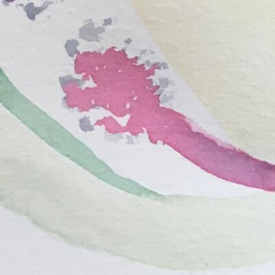 Buurtkruid 6. Klimop 🌿 ‘in de mythologie worden klimop en druif met elkaar in verband gebracht’ 