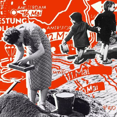 #33 - Als de overheid faalt #2: De oorlogsenquête