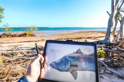 Paint a barra? The Top End fisho bringing fish to life through art