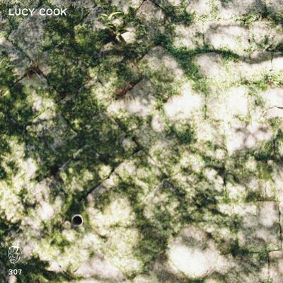 MDC.307 Lucy Cook