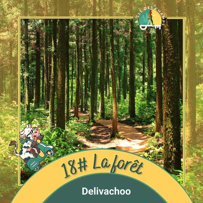 [Delivachoo] - Tout savoir sur la forêt en 5mn