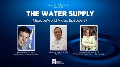 MWV Episode 89 - The Water Supply